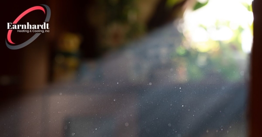 dust floating in beam of light from window